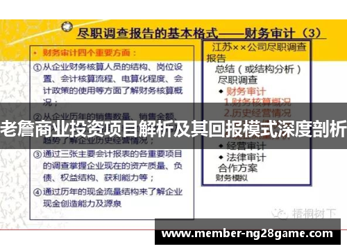 老詹商业投资项目解析及其回报模式深度剖析