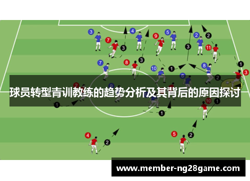 球员转型青训教练的趋势分析及其背后的原因探讨