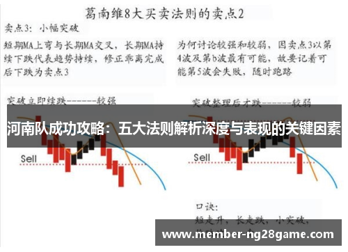 河南队成功攻略：五大法则解析深度与表现的关键因素