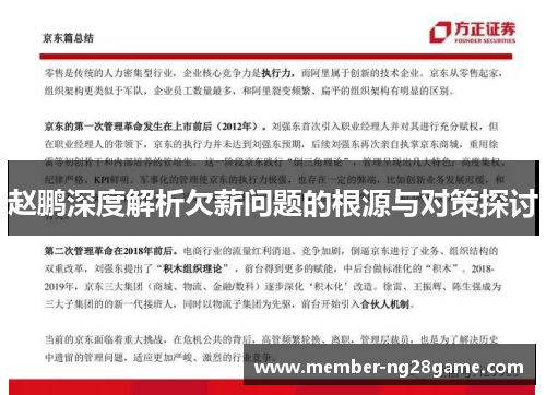 赵鹏深度解析欠薪问题的根源与对策探讨