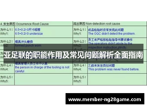 亚足联的职能作用及常见问题解析全面指南