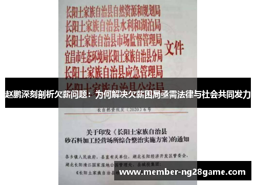 赵鹏深刻剖析欠薪问题：为何解决欠薪困局亟需法律与社会共同发力