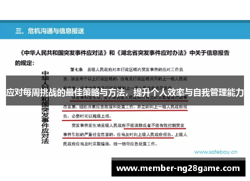 应对每周挑战的最佳策略与方法，提升个人效率与自我管理能力